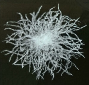 ダウンはなぜ温かいかご存知ですか 讃岐屋クリーニング